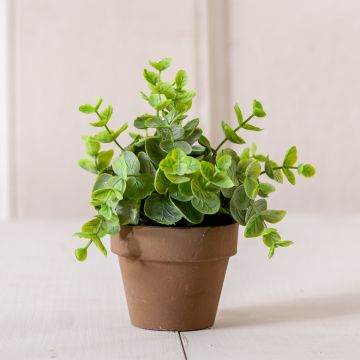 6-Inch Gatehouse Herb Pot