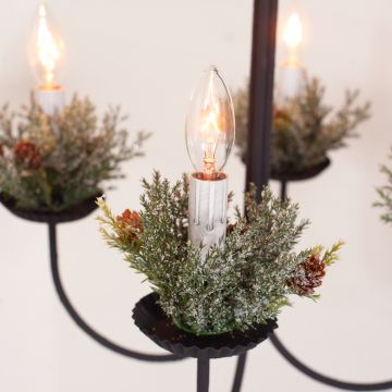 1-Inch Frosted Arborvitae Ring