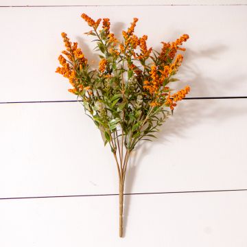 Peppergrass Bush - Orange