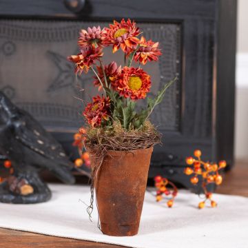 Potted Rust Strawflower