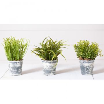 Set of 3 Whitewashed Buckets with greens