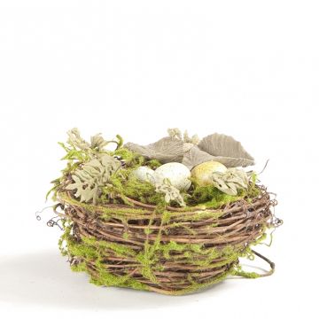 Small Twig Nest with Three Eggs