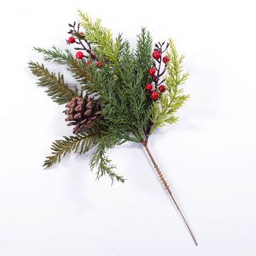 Fir Cone and Berry Stem