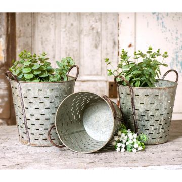 Olive Bucket Set